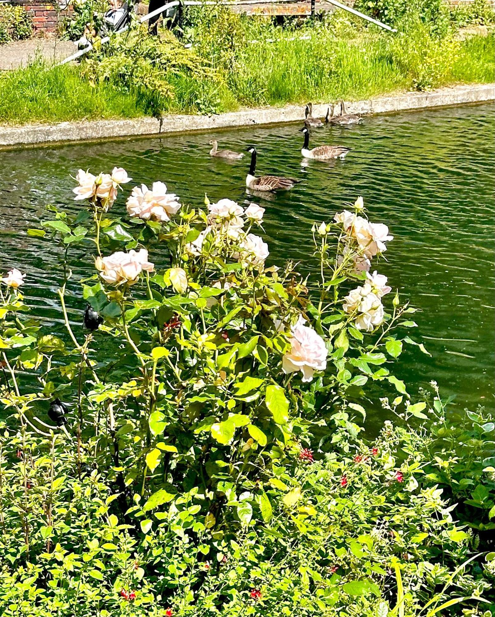 Amazing Location - City Of London- 2 Bedroom Stunning Canal View House With Private Garden,Parking & Balcony Екстериор снимка